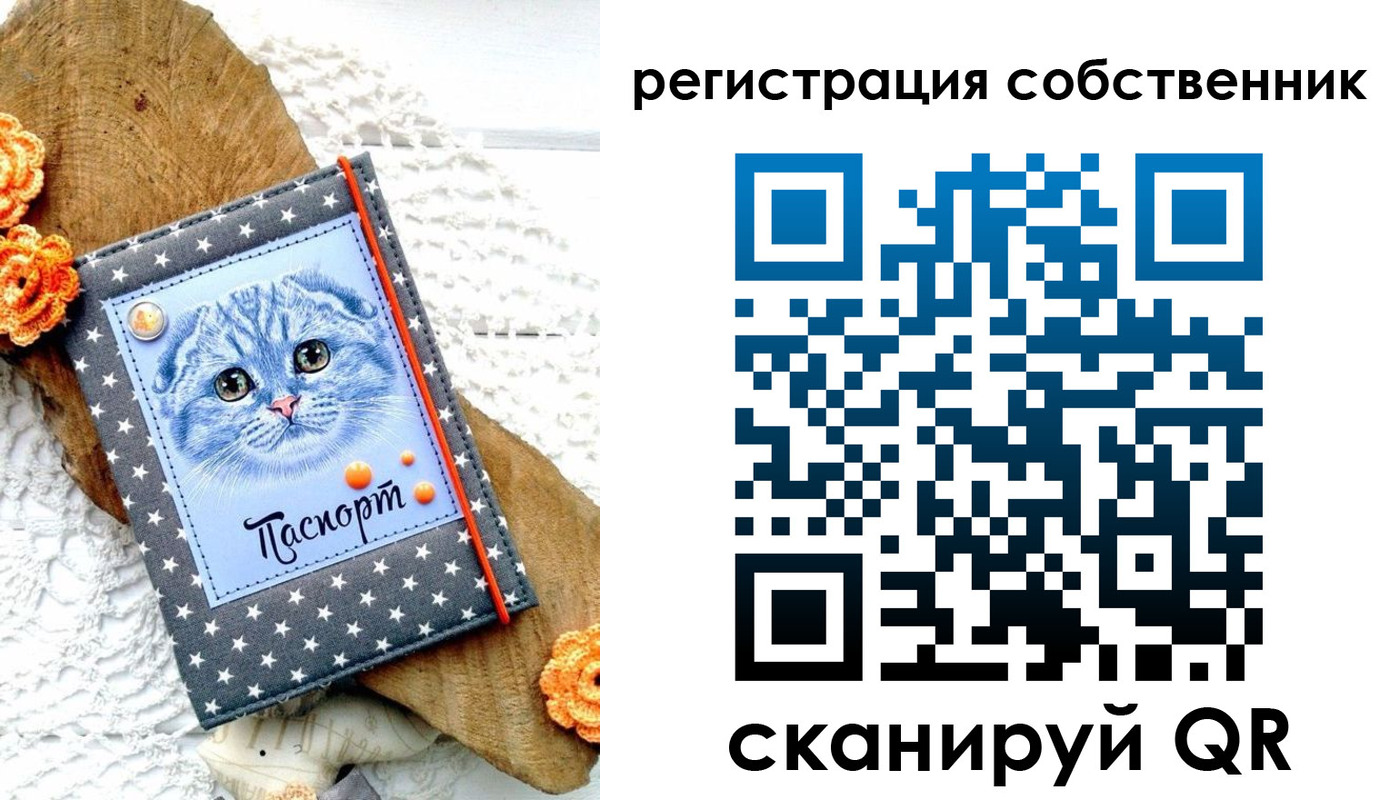 прописка для работы в Череповце